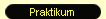 Praktikum