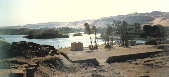 elefantine iseland