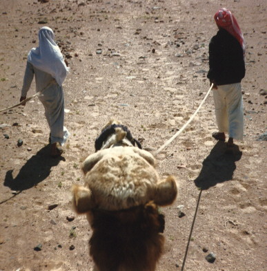 egypt6