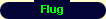 Flug