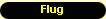 Flug